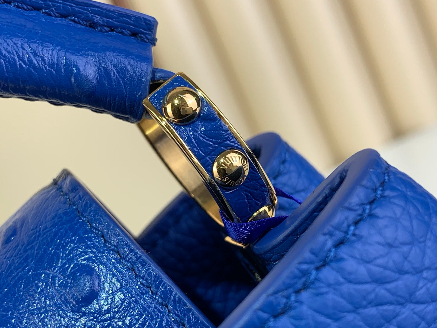 Louis Vuitton Capucines Mini