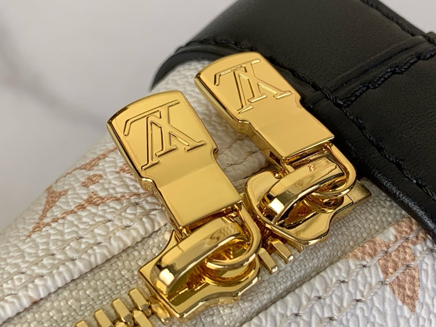 Louis Vuitton Nano Alma