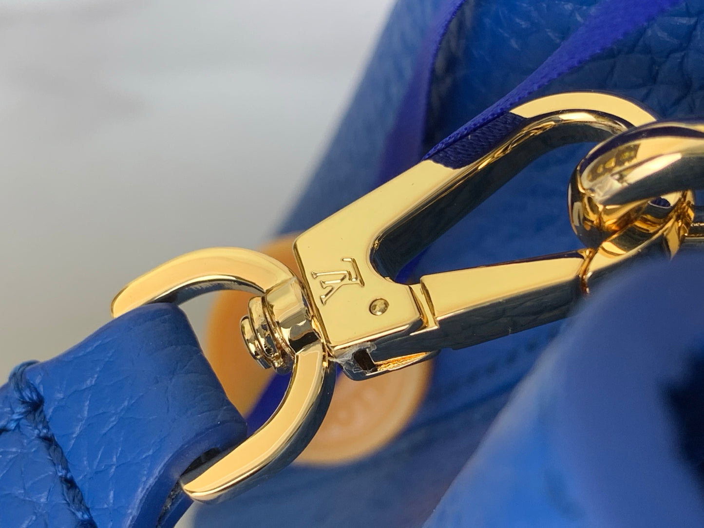 Louis Vuitton Capucines Mini