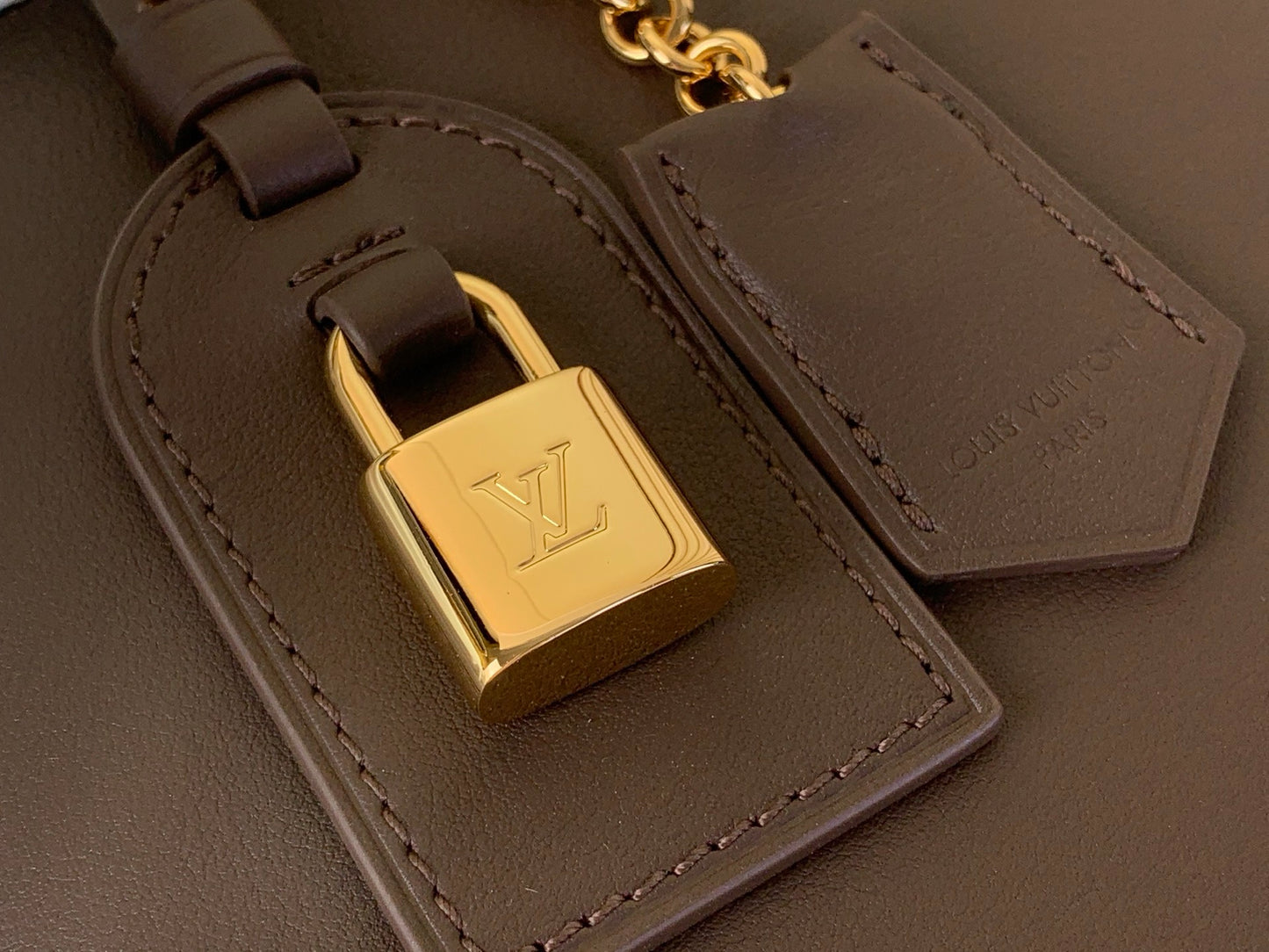 Louis Vuitton Capucines MM Souple